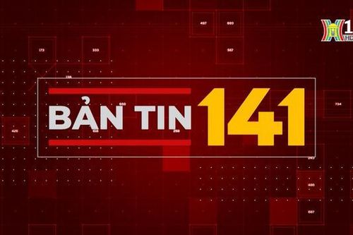 Bản tin 141 | 07/11/2023
