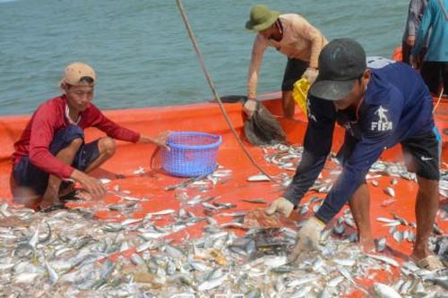 Bấp bênh đời ngư phủ
