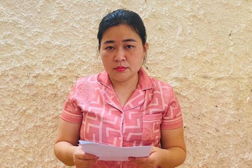 Bắt nữ chủ cửa hàng sim thẻ lừa đảo trên 50 tỷ đồng ở Hà Tĩnh
