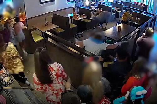 Chú nai lao vào nhà hàng, thực khách náo loạn bỏ chạy