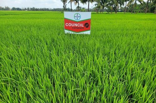 Bayer ra mắt giải pháp mới giúp nhà nông quản lý cỏ hiệu quả