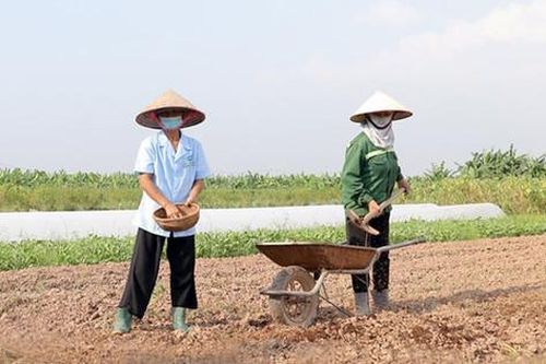 Để không lãng phí 'bờ xôi, ruộng mật': Cần đổi mới tư duy, nâng cao giá trị sản xuấtBài 2: Nhiều 'điểm nghẽn' về cơ chế, chính sách