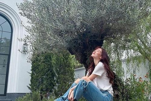 Baifern mua cây ôliu 700 tuổi làm đẹp biệt thự