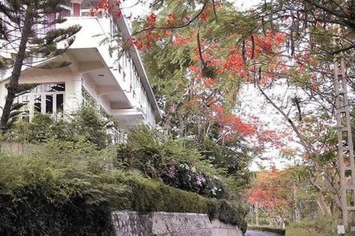 Bao giờ người dân lại được tham quan lầu Bảo Đại ở Khánh Hòa?