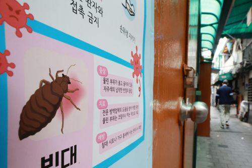 Hàn Quốc mở chiến dịch tổng diệt rệp trong 4 tuần