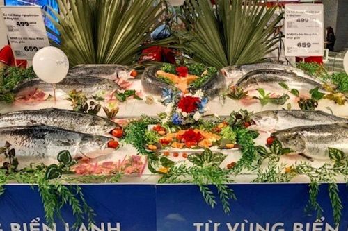 8 doanh nghiệp hải sản Na Uy tìm kiếm cơ hội hợp tác tại Việt Nam