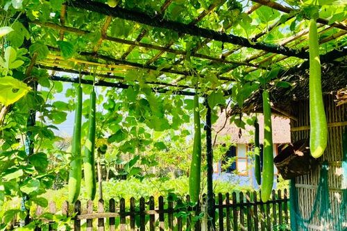 Quảng Nam phát triển du lịch xanh gắn với trách nhiệm cộng đồng