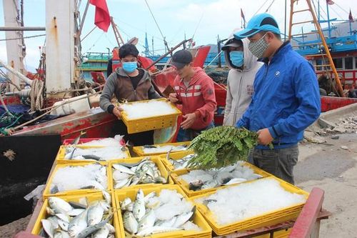 Quảng Ngãi: Vi phạm hành chính lĩnh vực thủy, 2 tàu cá bị phạt hơn 3 tỷ đồng