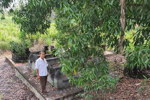 Hụt hơi với dự án dài hơi