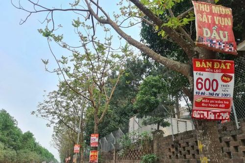 Đất nền ven đô vẫn 'khát' người mua