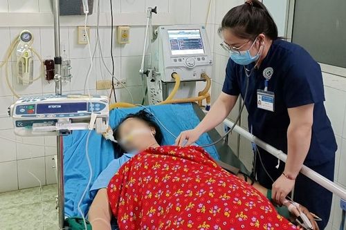 Nữ bệnh nhân nguy kịch sau khi bị kiến xoan đốt