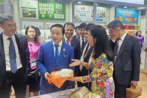 CIIE lần thứ 6: 'Ghi danh' thương hiệu và hình ảnh doanh nghiệp Việt Nam tại Trung Quốc