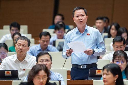 Điện ảnh, nghệ thuật có thể lấy cảm hứng từ mọi nguồn nhưng với lịch sử, văn hóa dân tộc thì phải chân thực