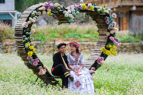 Du khách thi nhau săn ảnh mùa hoa tam giác mạch Hà Giang
