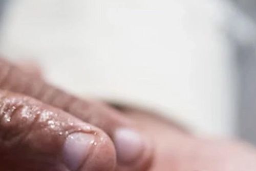 Nông dân Nghệ An có thu hoạch quanh năm nhờ nuôi ngao rải vụ