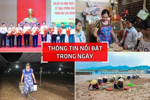 Nghệ An: Thông tin nổi bật ngày 8/11