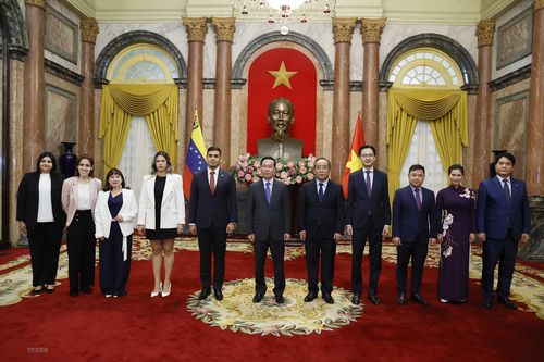 Hình ảnh Chủ tịch nước Võ Văn Thưởng tiếp 2 Đại sứ đến trình Quốc thư