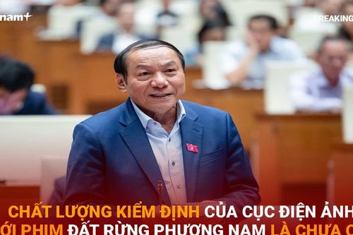 Tin 60s: Chất lượng kiểm định phim 'Đất rừng phương Nam' là chưa cao