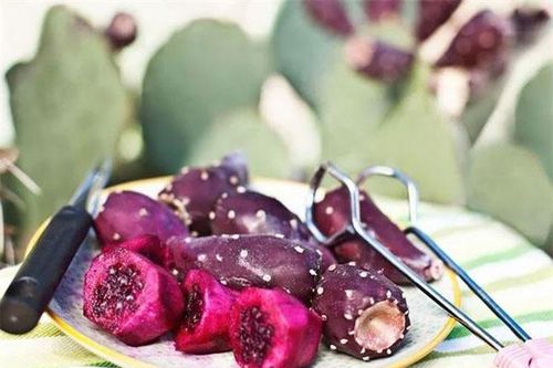 Quả cây dại Việt Nam mọc nhiều chả ai ăn, ở nước ngoài nó ví là 'vàng xanh', giá 300.000 đồng/6 quả