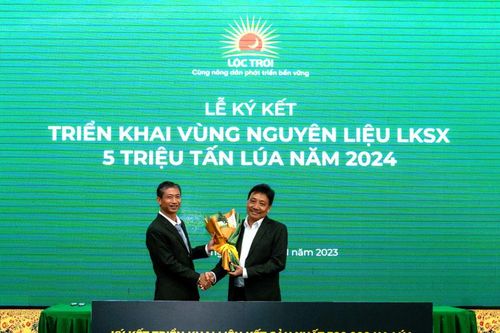 LTG 'bắt tay' loạt đối tác triển khai vùng nguyên liệu 300.000ha, liên kết sản xuất 5 triệu tấn lúa