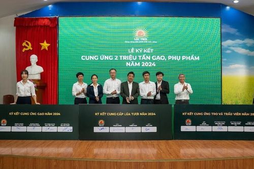 Lộc Trời ký ghi nhớ cung ứng 2 triệu tấn gạo cho năm 2024