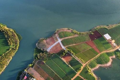 Siêu dự án gần 12.000 tỷ tại Lâm Đồng có chủ, một công ty liên quan đến đại gia Đinh Trường Chinh