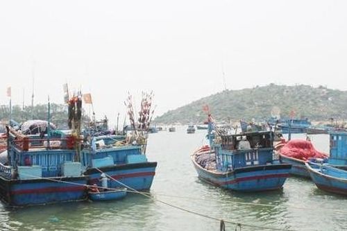 Thu hồi Giấy chứng nhận đăng ký Công ty TNHH Absonutrix Việt Nam; Chủ tàu cá bị phạt hơn 3 tỷ đồng