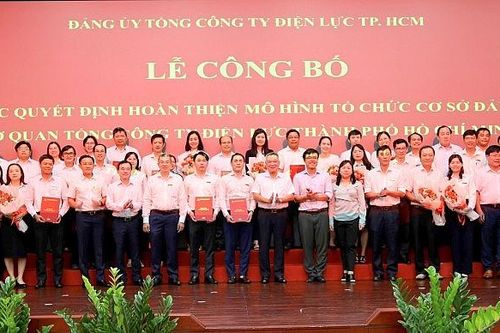 Hoàn thiện mô hình tổ chức cơ sở đảng Cơ quan Tổng công ty Điện lực TP. Hồ Chí Minh