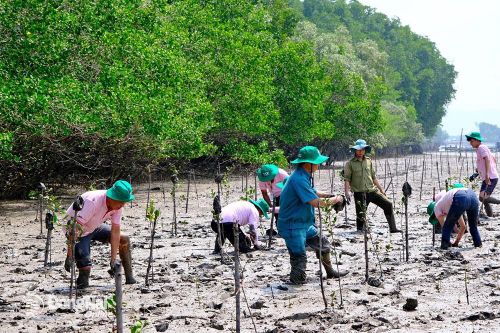 Đồng Nai triển khai hiệu quả trồng cây xanh nông thôn