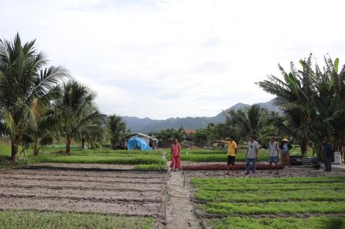 Việc kiến nghị cấp sổ đỏ của 7 hộ dân phường Ninh Diêm (Ninh Hòa): Xem xét kỹ tính pháp lý của giấy tờ chứng minh nguồn gốc đất