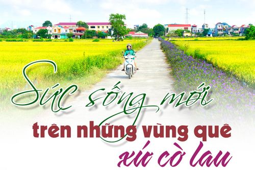 Sức sống mới trên những vùng quê xứ cờ lau