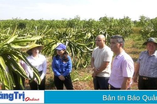 Phát huy hiệu quả tín dụng chính sách ủy thác qua tổ chức chính trị - xã hội ở Vĩnh Linh