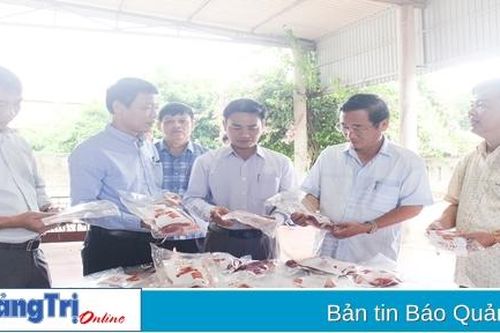 Hiệu quả chăn nuôi lợn thịt an toàn sinh học gắn với tiêu thụ sản phẩm