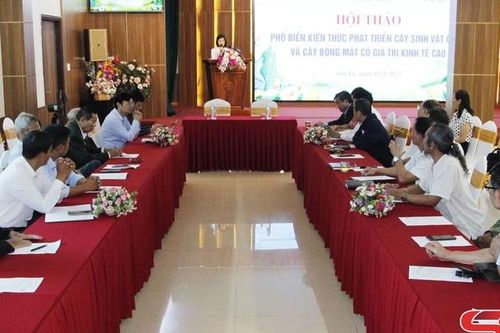 Hội thảo phổ biến kiến thức phát triển cây sinh vật cảnh và cây bóng mát