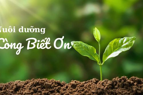 Nuôi dưỡng lòng biết ơn