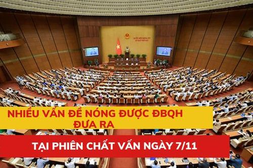 Nhiều vấn đề nóng được ĐBQH đưa ra tại phiên chất vấn ngày 7/11