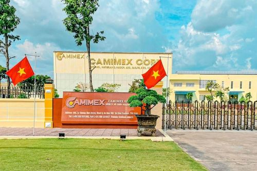 Thu về 204 tỷ đồng bán trái phiếu, tổng nợ của CMX tăng hơn 38%