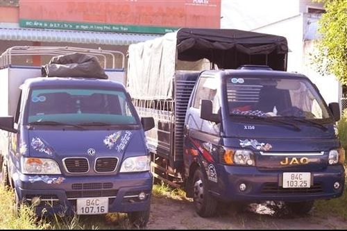 Bắt quả tang đối tượng vận chuyển 173 con lợn giống không rõ nguồn gốc