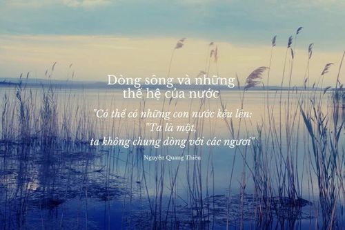 Lời chia sẻ của nhà thơ Nguyễn Quang Thiều vào đề thi học sinh giỏi Ngữ văn