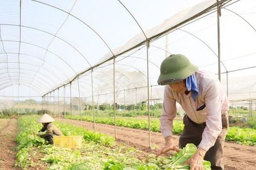 Để không lãng phí 'bờ xôi, ruộng mật': Cần đổi mới tư duy, nâng cao giá trị sản xuấtBài 3: Xuất hiện cách làm mới, hiệu quả cao
