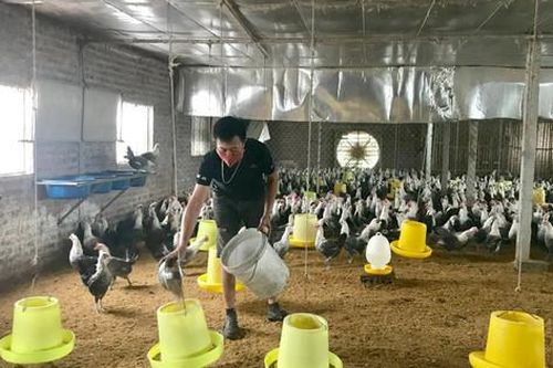Quỹ Khuyến nông - điểm tựa cho nông dân