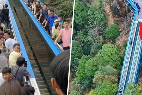 Kỳ lạ: Trung Quốc xuất hiện kiểu leo núi mới, từ trẻ nhỏ đến người già ai cũng thích