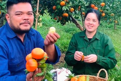 Vợ chồng người dân tộc mày mò làm TikTok bán nông sản thu trăm triệu mỗi tháng