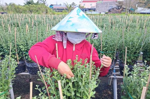 Đồng Tháp: Hội quán tạo động lực phát triển kinh tế bền vững