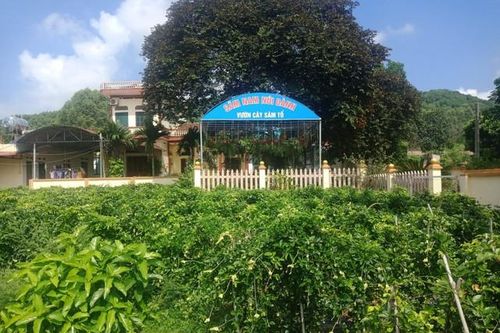 Tân Yên: Nhiều sản phẩm OCOP nổi tiếng mang giá trị kinh tế cao