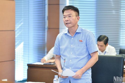 Cần đánh giá kỹ quy định chuyển xử lý các vi phạm hành chính từ Chính phủ sang tòa án