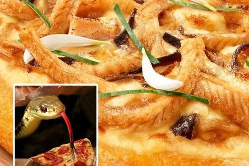 'Rợn tóc gáy' món pizza thịt rắn, ăn ngon như thịt gà