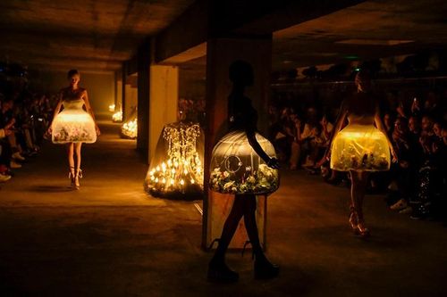 Nhà thiết kế xin lỗi vì dùng bướm sống trong trang phục