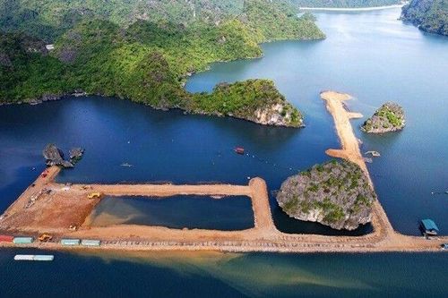 Chính phủ chỉ đạo kiểm tra dự án quây núi đá vịnh Hạ Long làm 'hòn non bộ'