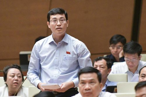 Giám sát để đảm bảo thực thi việc cắt giảm các thủ tục kinh doanh, chi phí tuân thủ